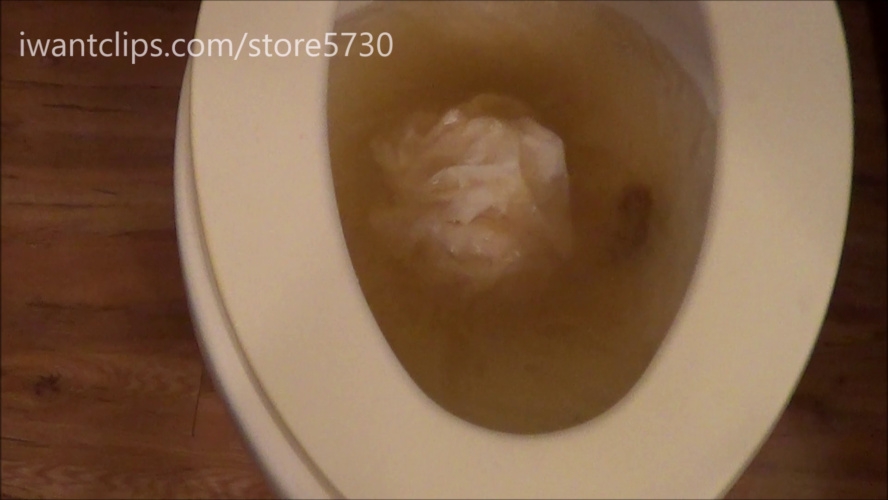 Ashley Dobbs Damn I Clogged The Toilet Keepingitfunky 2025 [FullHD ] [1.29 GB]