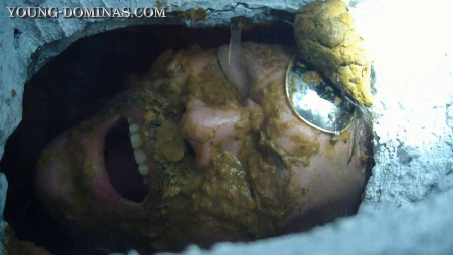 Now you are officially a Toilet Part 2 2025 [HD ] [119 MB]