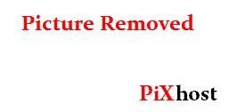 PLBZ – The ass of the human toilet must be punished in order to work properly 2025 [HD ] [400 MB]