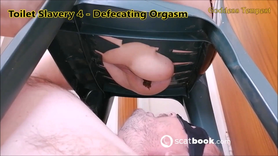 Broken Toilet 26 - Diarrhea Explosion - GODDESS TEMPEST 2025 [FullHD ] [331 MB]