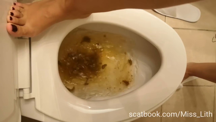 Scat Verbal Humiliation The Toilet is Сlogged P1 2025 [HD ] [23.9 MB]