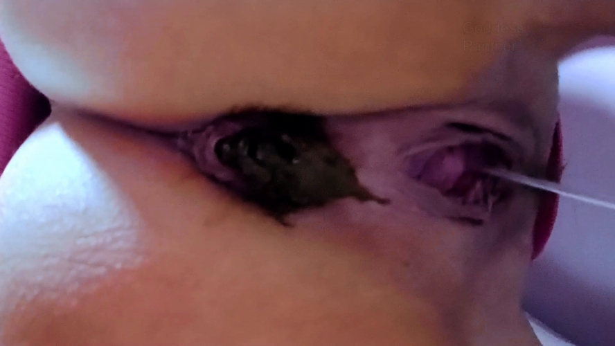 Obsessed With Huge Shit and thefartbabes 2025 [FullHD ] [783 MB]