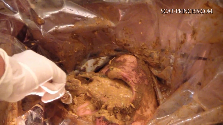 Scatmania Underground Toilet Slave Part 5 Sc M St 2025 [HD ] [673 MB]