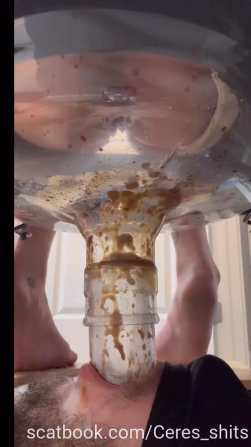 A Day of Shitting Down My Toilet's Throat P1 2025 [SD ] [44.5 MB]