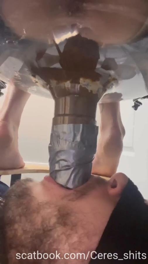 Toilet Annihilation with Goddess Ceres P1 2025 [SD ] [21.0 MB]