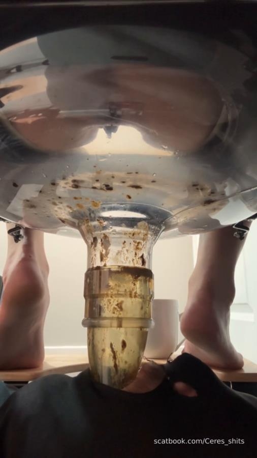 2025-11-03 - My Diarrhea Recepticle and Goddess Ceres 2025 [SD ] [74.1 MB]