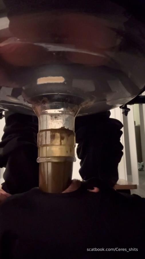 Goddess Ceres-2025-10-19 - Toilet Swallows All My Waste For The Day 2025 [SD ] [34.6 MB]