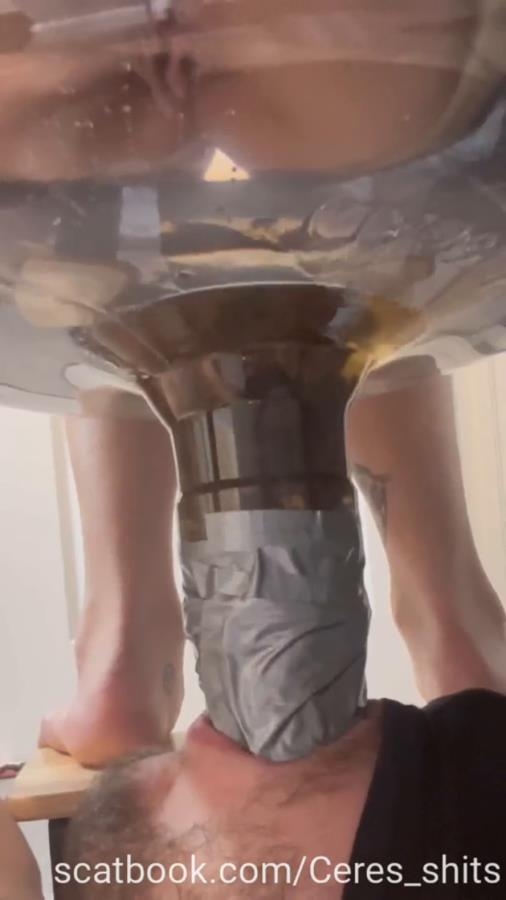 A Full Day Of Humiliation Hiking With A Toilet and Goddess Ceres 2025 [SD ] [75.5 MB]