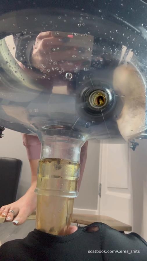 Septic Tank Almost Fails » Mixfemdomcc - Latest Femdom Porn for Online Streaming and Goddess Ceres 2025 [SD ] [68.9 MB]