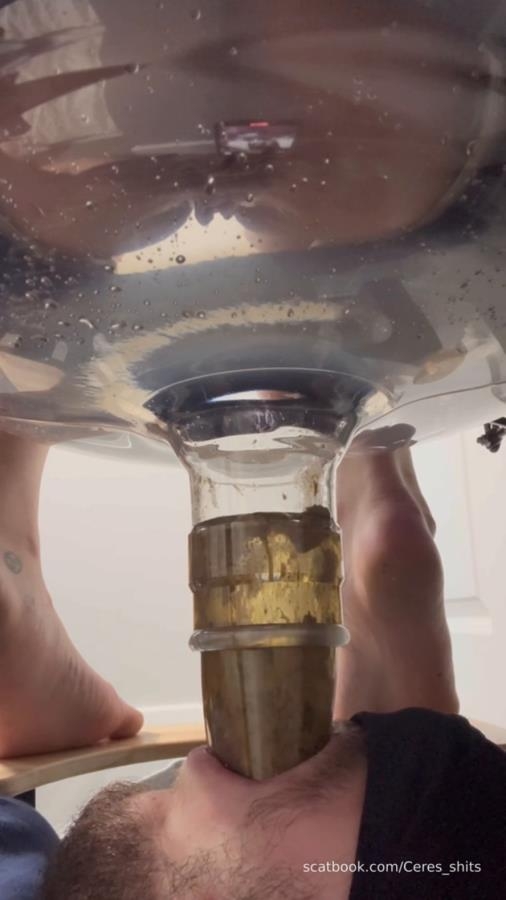 Human Toilet's First Malfunction Infinite Shit Down Your Throat » Mixfemdomcc - Latest Femdom Porn for Online Streaming and Goddess Ceres 2025 [SD ] [120 MB]