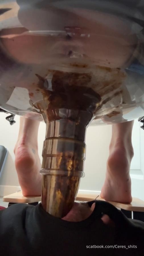 Daily Toilet Torture » Mixfemdomcc - Latest Femdom Porn for Online Streaming and Goddess Ceres 2025 [SD ] [121 MB]