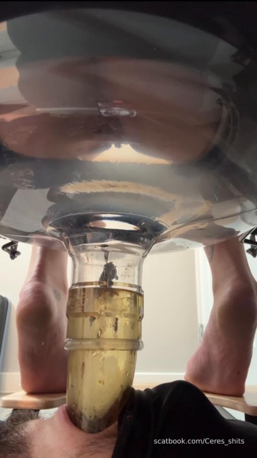 Five Levels of Shit » Mixfemdomcc - Latest Femdom Porn for Online Streaming and Goddess Ceres 2025 [SD ] [123 MB]