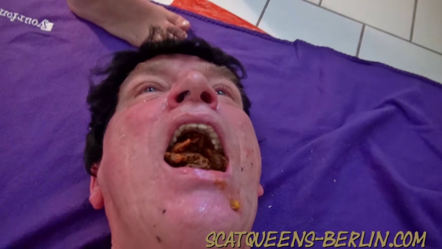 The Mini Cock Torture of the Toilet Slave P2 P1 2026 [HD ] [113 MB]