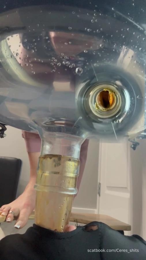 Septic Tank Almost Fails P1 2026 [SD ] [67.6 MB]