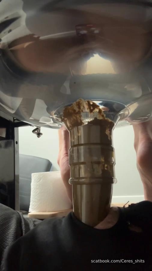 Daily Toilet Torture P1 2026 [SD ] [119 MB]