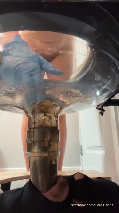 24 Minutes of Daily Toilet Slave Destruction P1 2026 [SD ] [164 MB]