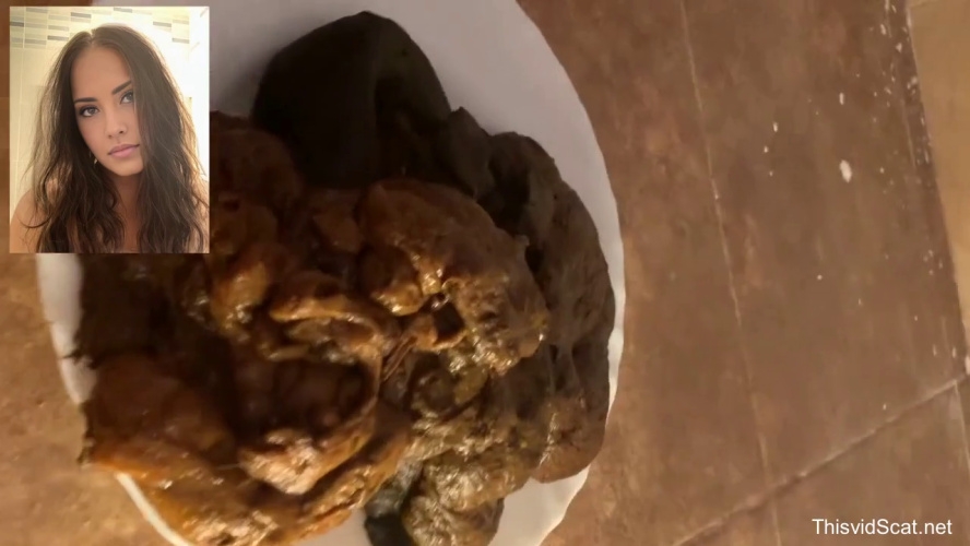 A huge pile of shit goes into the toilet. P1 2026 [HD ] [101 MB]