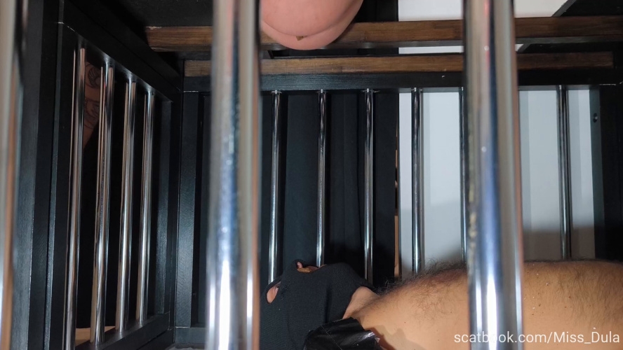 My Poop In His Mouth » Mixfemdomcc - Latest Femdom Porn for Online Streaming and MISS DULA 2026 [FullHD ] [134 MB]