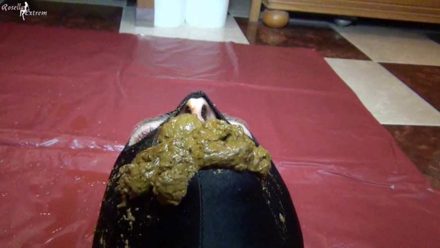 Slave in doggystyle, pooping, in his mouth and RosellaExtrem 2026 [FullHD ] [815 MB]