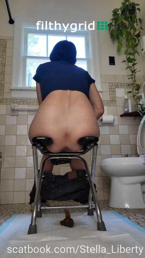 Number Two with the Toilet Chair 2026 [SD ] [190 MB]